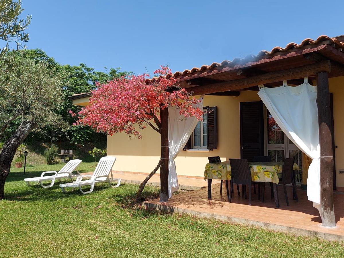 Villa Mimosa Tropea Ricadi Ngoại thất bức ảnh