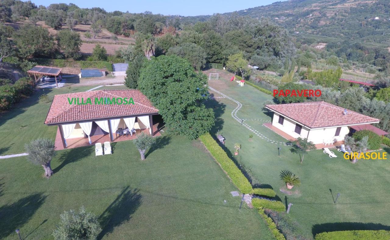 Villa Mimosa Tropea Ricadi Ngoại thất bức ảnh