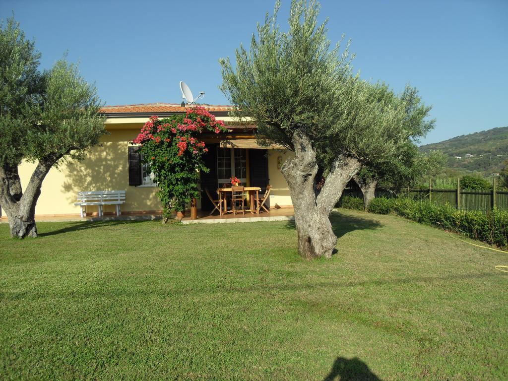 Villa Mimosa Tropea Ricadi Ngoại thất bức ảnh